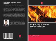 Defesa das florestas contra incêndios的封面