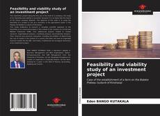 Обложка Feasibility and viability study of an investment project