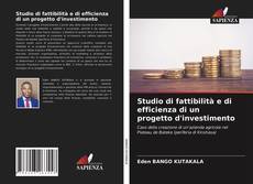 Bookcover of Studio di fattibilità e di efficienza di un progetto d'investimento