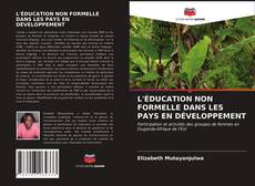 Couverture de L'ÉDUCATION NON FORMELLE DANS LES PAYS EN DÉVELOPPEMENT