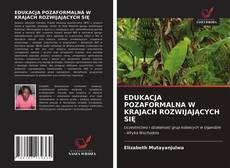 Bookcover of EDUKACJA POZAFORMALNA W KRAJACH ROZWIJAJĄCYCH SIĘ