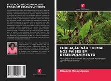 Borítókép a  EDUCAÇÃO NÃO FORMAL NOS PAÍSES EM DESENVOLVIMENTO - hoz