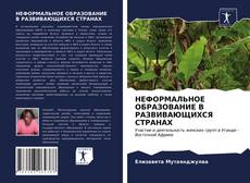 Couverture de НЕФОРМАЛЬНОЕ ОБРАЗОВАНИЕ В РАЗВИВАЮЩИХСЯ СТРАНАХ