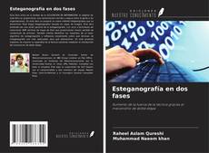 Buchcover von Esteganografía en dos fases