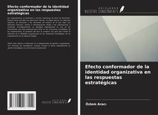 Couverture de Efecto conformador de la identidad organizativa en las respuestas estratégicas