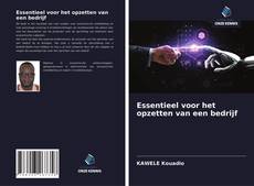 Essentieel voor het opzetten van een bedrijf的封面