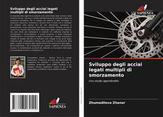Bookcover of Sviluppo degli acciai legati multipli di smorzamento