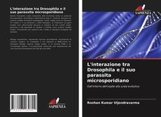 Couverture de L'interazione tra Drosophila e il suo parassita microsporidiano