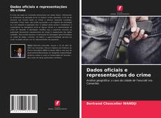 Dados oficiais e representações do crime kitap kapağı