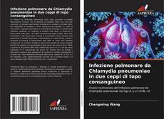 Buchcover von Infezione polmonare da Chlamydia pneumoniae in due ceppi di topo consanguineo