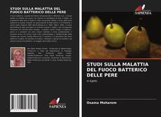 Bookcover of STUDI SULLA MALATTIA DEL FUOCO BATTERICO DELLE PERE