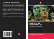 A origem da fenomenologia kitap kapağı