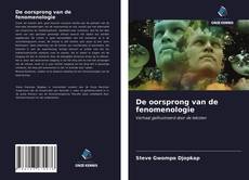 De oorsprong van de fenomenologie的封面