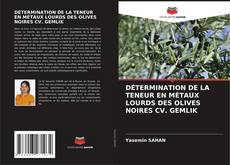 DÉTERMINATION DE LA TENEUR EN MÉTAUX LOURDS DES OLIVES NOIRES CV. GEMLIK的封面