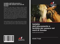 Bookcover of Solidità dell'allevamento e fertilità del somaro nel nord di Gondar