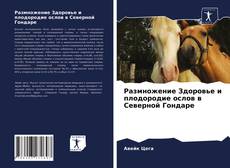 Borítókép a  Размножение Здоровье и плодородие ослов в Северной Гондаре - hoz
