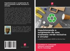 Impulsionando o surgimento de uma economia verde inclusiva e circular的封面