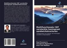 Multifunctionele CNT versterkte honingraat sandwichstructuren的封面