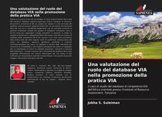 Copertina di Una valutazione del ruolo del database VIA nella promozione della pratica VIA