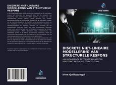 DISCRETE NIET-LINEAIRE MODELLERING VAN STRUCTURELE RESPONS的封面