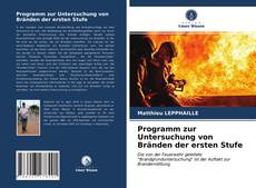 Bookcover of Programm zur Untersuchung von Bränden der ersten Stufe