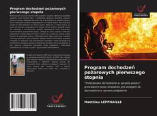 Program dochodzeń pożarowych pierwszego stopnia kitap kapağı