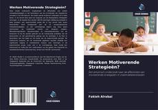 Werken Motiverende Strategieën?的封面