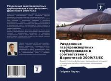 Разделение газотранспортных трубопроводов в соответствии с Директивой 2009/73/EC kitap kapağı