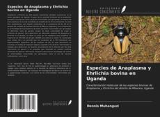 Especies de Anaplasma y Ehrlichia bovina en Uganda kitap kapağı