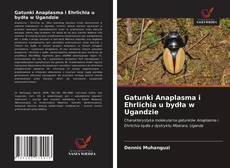 Bookcover of Gatunki Anaplasma i Ehrlichia u bydła w Ugandzie