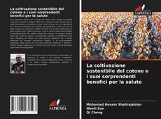 Copertina di La coltivazione sostenibile del cotone e i suoi sorprendenti benefici per la salute