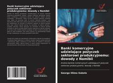 Copertina di Banki komercyjne udzielające pożyczek sektorowi produkcyjnemu: dowody z Namibii