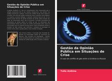 Bookcover of Gestão da Opinião Pública em Situações de Crise