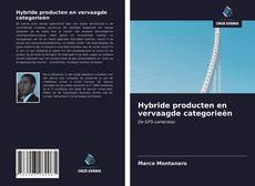 Bookcover of Hybride producten en vervaagde categorieën