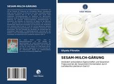 Capa do livro de SESAM-MILCH-GÄRUNG 