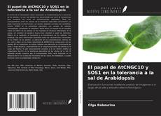 Portada del libro de El papel de AtCNGC10 y SOS1 en la tolerancia a la sal de Arabidopsis