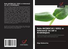 Bookcover of Rola AtCNGC10 i SOS1 w tolerancji na sól u Arabidopsis