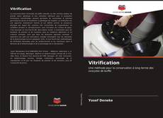 Обложка Vitrification