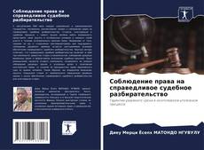 Capa do livro de Соблюдение права на справедливое судебное разбирательство 