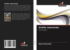 Portada del libro de Grafite industriale