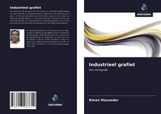 Couverture de Industrieel grafiet