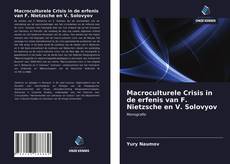 Buchcover von Macroculturele Crisis in de erfenis van F. Nietzsche en V. Solovyov