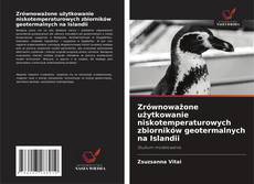 Portada del libro de Zrównoważone użytkowanie niskotemperaturowych zbiorników geotermalnych na Islandii