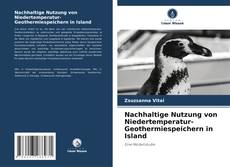 Buchcover von Nachhaltige Nutzung von Niedertemperatur-Geothermiespeichern in Island
