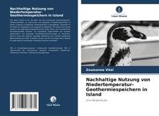 Copertina di Nachhaltige Nutzung von Niedertemperatur-Geothermiespeichern in Island