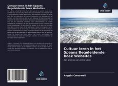 Bookcover of Cultuur leren in het Spaans Begeleidende boek Websites