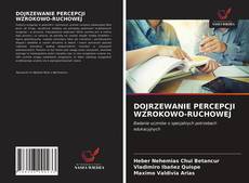 Copertina di DOJRZEWANIE PERCEPCJI WZROKOWO-RUCHOWEJ