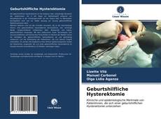 Buchcover von Geburtshilfliche Hysterektomie