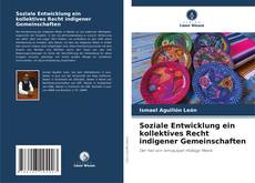 Soziale Entwicklung ein kollektives Recht indigener Gemeinschaften kitap kapağı