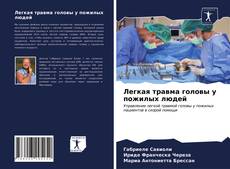 Borítókép a  Легкая травма головы у пожилых людей - hoz